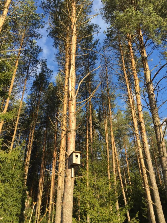 Kaeaenu Puhkemaja Villa Раквере Екстериор снимка